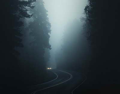 «ТОҶИКИСТОН ВАТАНИ НАВРӮЗ АСТ». Таҳти чунин унвон дар шаҳри Душанбе ҳамоиш баргузор гардид