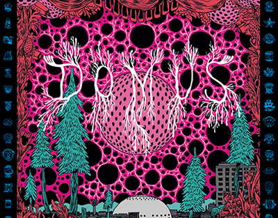 Аулаңызды бүрге мен кенеден тазартудың ең тиімді әдістері