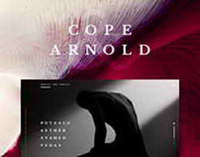 SON DƏQİQƏ!Aktauda qəzaya uğramış AZAL təyyarəsindən xəbər var: Ekspertiza nəticələri...