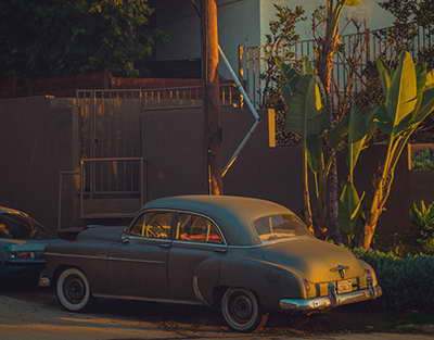 Azərbaycanda buğda ilə özünütəminetmə səviyyəsi niyə azalır?